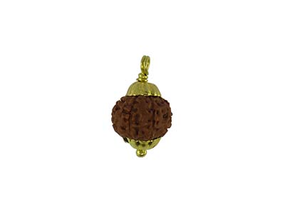 7 MUKHI RUDRAKSHA WITH  CAP-PAUDJWKPJS2015202